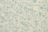 Рідкі шпалери Сілк Пластер RELEF 321R